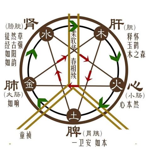 木剋土性格|五行相剋一目了然：木土水火金，相生相剋口訣記住它！